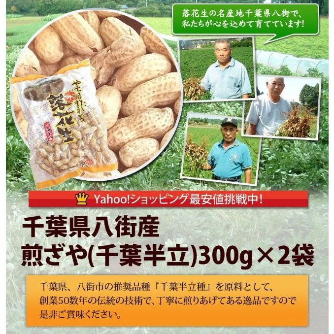 2023年度産 新豆 煎ざや（千葉半立）300g 2袋セット 千葉県産八街落花生