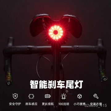 ROCKBROS/洛克兄弟 自行車尾燈 山地公路車 夜騎智能感應剎車燈 警示燈 騎行裝備 A3VY