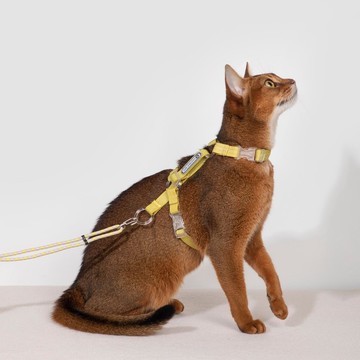 【HiDREAM】啵啵系列 自由探索貓胸背牽引繩套裝 (多色)