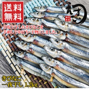 送料無料甘塩で干したきびなごを手刺しで串打ち 干物にしました 魚屋がガチで作った