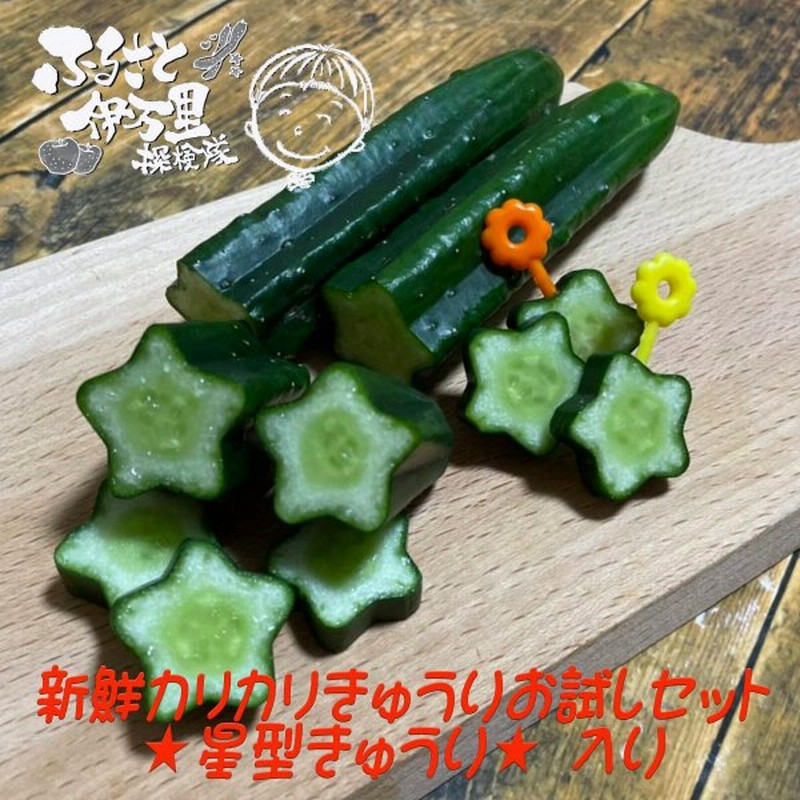 きゅうり 星型 お試しセット 新鮮 カリカリ 七夕 きらきらぼし 子供 野菜嫌い 克服 お弁当 誕生日 料理 インスタ 通販 Lineポイント最大0 5 Get Lineショッピング