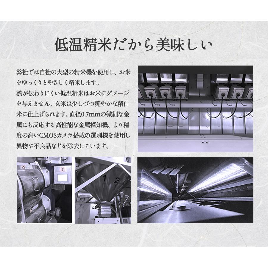 お米 2kg 白米 新米 令和5年産 新潟県産 こしいぶき 産地直送 米 国産 国内産 2キロ ブランド米 ギフト お中元 父の日 母の日 敬老の日