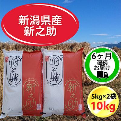 ふるさと納税 胎内市 新潟県胎内市産新之助10kg(5kg×2袋)全6回