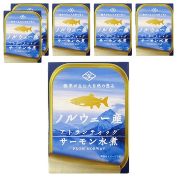Choshita 田原挪威鮭魚水煮罐  90g  6罐