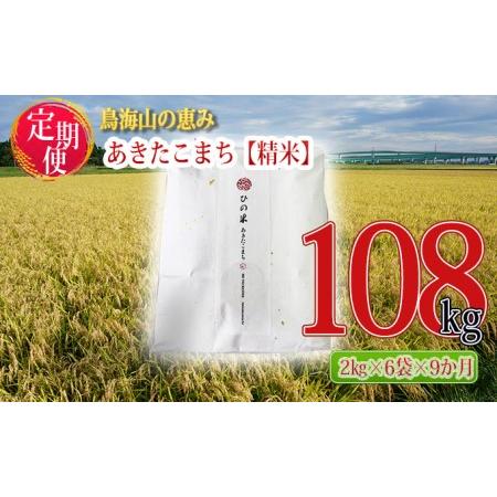 ふるさと納税 《定期便》12kg×9ヶ月 秋田県産 あきたこまち 精米 2kg×6袋 神宿る里の米「ひの米」（お米 小分け） 秋田県にかほ市