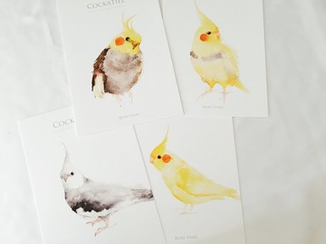 鳥兒明信片組 M 玄鳳