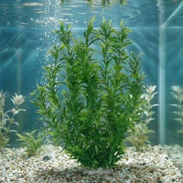 免運🔥仿真水草 魚缸裝飾 水族箱假水草 魚缸佈置 魚缸造景 水族用品 多種款式 魚缸家用仿真水草造景水族植物塑料擺件假