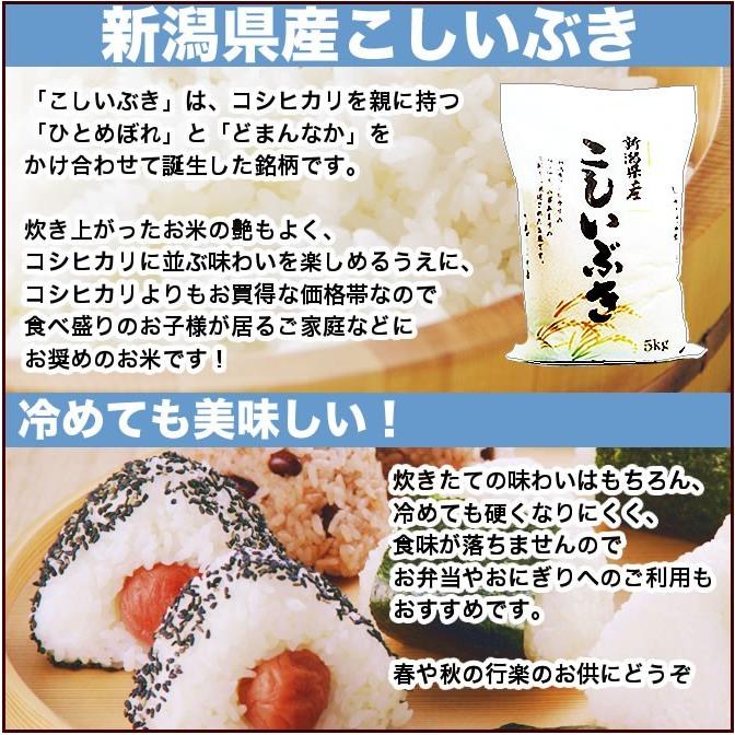 新米 お米 15kg こしいぶき 令和5年産 新潟産 5kg×3袋 送料無料 （北海道、九州、沖縄除く）