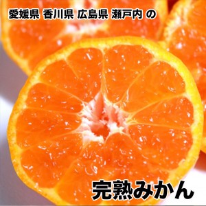 みかん 10kg 送料無料 愛媛県 香川県 広島県 瀬戸内 完熟みかん 秀品 Mサイズ 10kg みかん 10Kg 愛媛県 香川県 瀬戸内 ギフト お歳暮【11