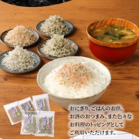 宮崎ちりめん 4種類 食べ比べセット （ちりめん、さけ、しそわかめ、昆布） 工場直売 ふりかけ おにぎり　N065-A0225