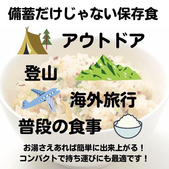 マジックライス 食べきりサイズ　ドライカレー　単品