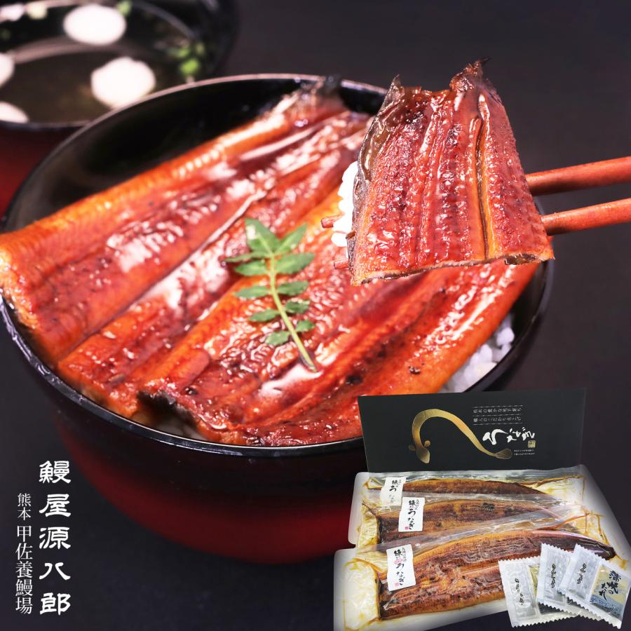 鰻の蒲焼き 特大3尾セット（約210g×3尾） ギフト箱入 送料無料 国産