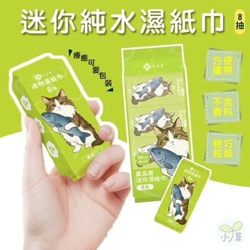 🔥隔日到貨🔥小包濕紙巾 隨身濕紙巾 迷你濕紙巾 純水濕紙巾 濕巾  隨身包濕紙巾 棠品居迷你濕紙巾 濕紙巾 紙巾