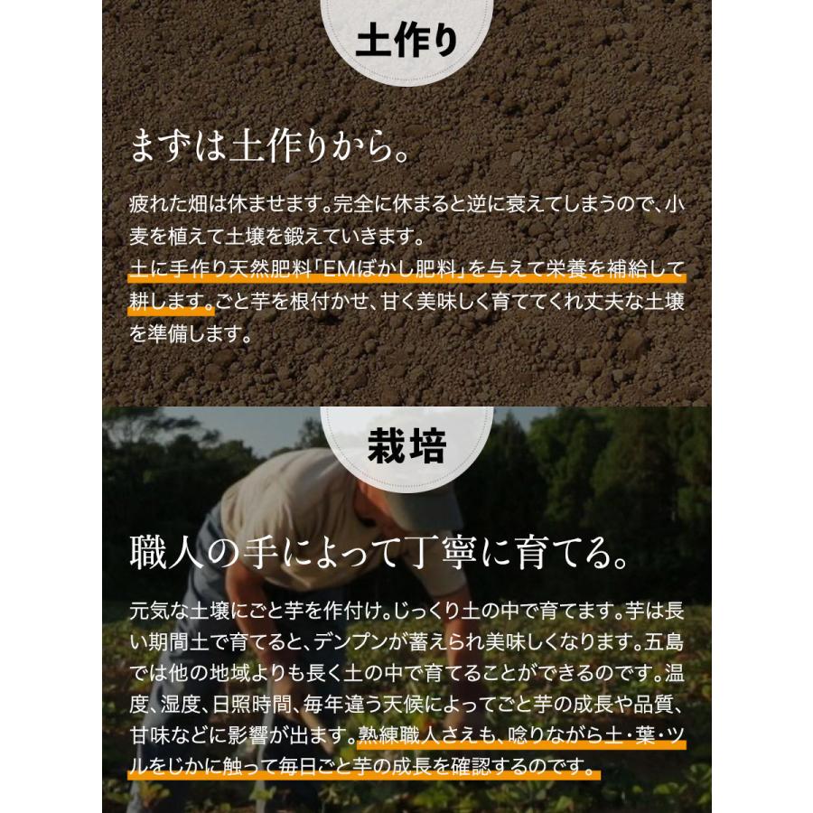 ごと焼ごと芋(300g×6袋)合計1.8kg 無添加 冷凍焼き芋 さつまいも 焼き芋(やきいも) 長崎県五島産 お取り寄せ