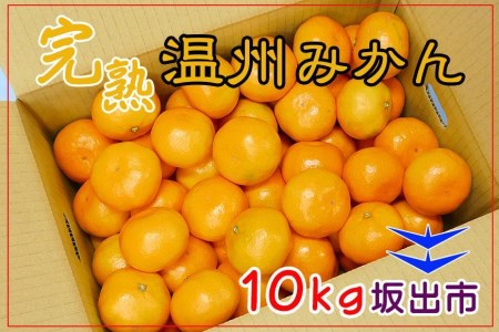 温州みかん 香川産 約10kg S ～ Lサイズ ｜ みかん 味濃い