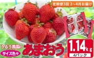 定期便 3回 いちご 発送時期 2024年2月～4月 うるう農園のあまおう サイズ色々 4パック 約1.14kg 配送不可 離島