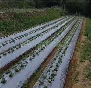 EA5235 大湖農地+丙建~住商樹林中正加盟店｜苗栗縣大湖鄉南昌段