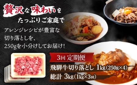 ＼贅沢な味わいをご家庭で／ 切り落とし 総計3kg 〈1回あたり〉1kg (250g×4) 国産 ブランド牛 和牛 BBQ キャンプ  [TDC014]