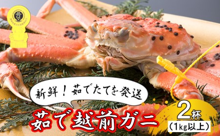 茹で越前ガニ食通もうなる本場の味をぜひ、ご堪能ください。1kg以上×2杯　越前がに 越前かに 越前カニ ずわいがに かに カニ ボイルガニ