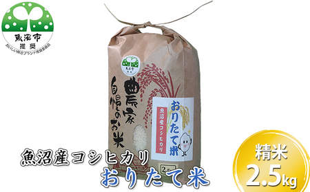 [令和５年産]魚沼産コシヒカリ おりたて米 （精米）2.5kg