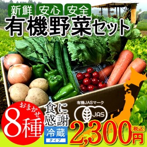 日本の有機野菜セット 旬のおまかせ8種類 全国ご当地生産者のこだわり有機栽培 ベジタブル スムージー 野菜材料