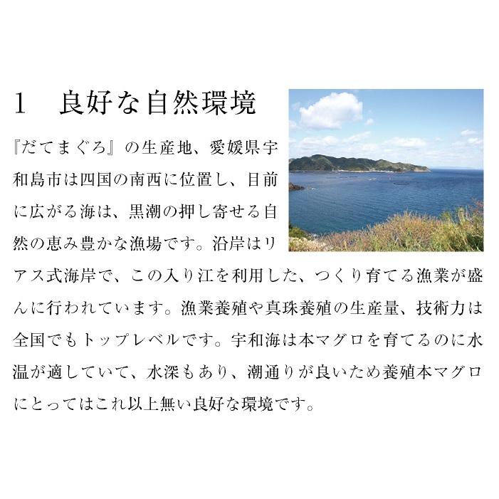 まぐろ マグロ 鮪 国産 本鮪 伊達マグロ 赤身 ブロック 柵 刺身 300g 2〜3人前