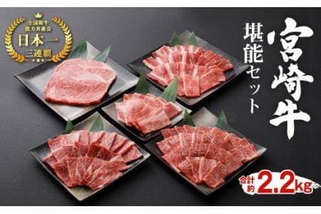 宮崎牛 堪能セット 2.2kg 黒毛和牛 牛肉 ステーキ 焼肉