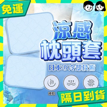 台灣+隔日配🇹🇼涼感枕頭套 枕頭套 枕頭墊 冰涼墊 枕頭保潔墊 涼感 冰涼 外銷日本 冰絲 枕套