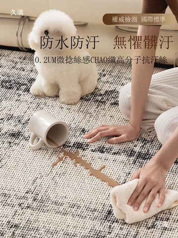 感地毯客廳輕奢免洗可擦簡約沙發地墊用全鋪大[DD190109]