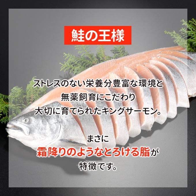 キングサーモン 豪華一本物 (頭付き) 約5kg 送料無料 お取り寄せグルメ