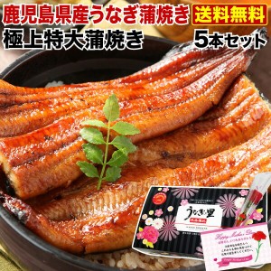 ポイント5％ 母の日  プレゼント グルメ ギフト うなぎ 蒲焼き 国産 鹿児島産 送料無料 特大蒲焼き5本セット 約200g×5 うなぎの里 クー