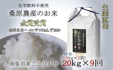 桑原農産のお米20kg(10kg×2)×9カ月　　南魚沼産こしひかり