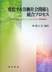 変化する労働社会関係と統合プロセス 社会化する企業・NPO・ソーシャルキャピタル・情報通信技術