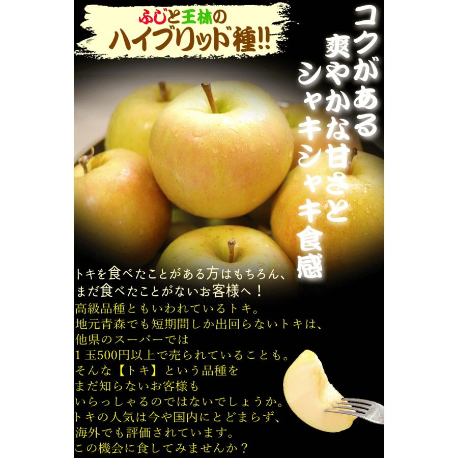 あすつく 青森 りんご 10kg箱 訳あり 加工用 選べる品種 送料無料 あすつく リンゴ 10キロ箱★品種選べる 加 10kg箱