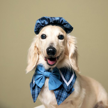 夏洛特領巾 | 淺藍 | ZAZAZOO寵物英倫風領巾