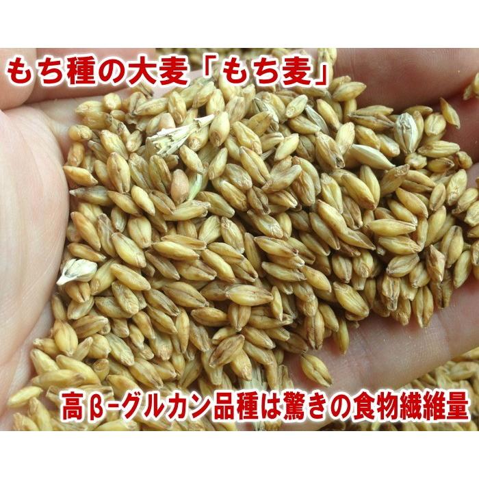 国産スーパーもち麦 350g 4袋入り お試しパック