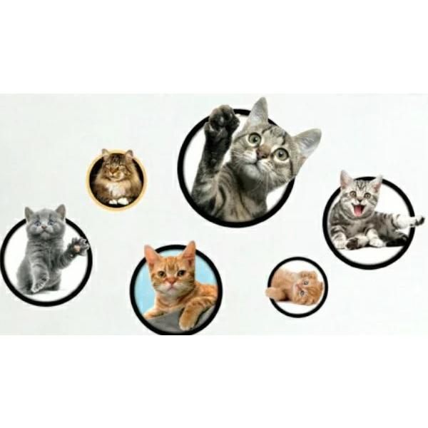 ウォールステッカー 壁紙シール シールタイプ 猫 ネコ ねこ キャット シルエット 足跡 フットプリント ルームデコレーション ウォールデコレーション