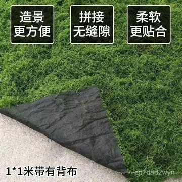 ✨免運+臺灣倉出貨✨帶底布仿真苔蘚裝飾造景人造草皮櫥窗絲狀青苔微景觀假綠植盆景
