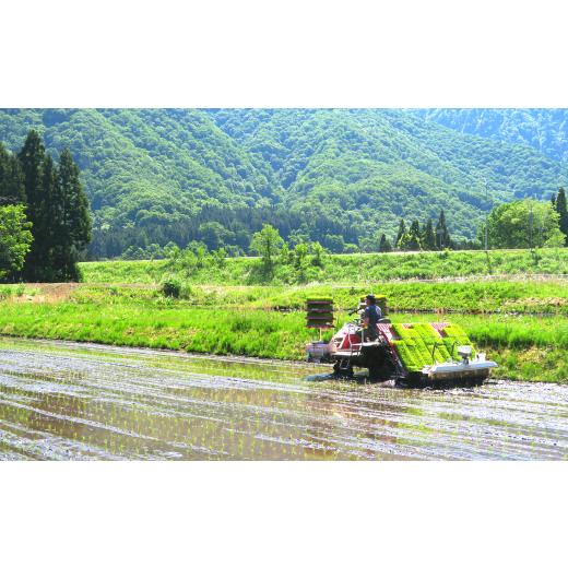 ふるさと納税 新潟県 湯沢町 源流一等米 南魚沼産コシヒカリ 精米 5kg 食味ランキング特A受賞 産地直送 中屋ふぁーむの