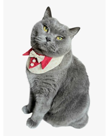 日式襯衣領圍 - 麻の葉花布 (2色)