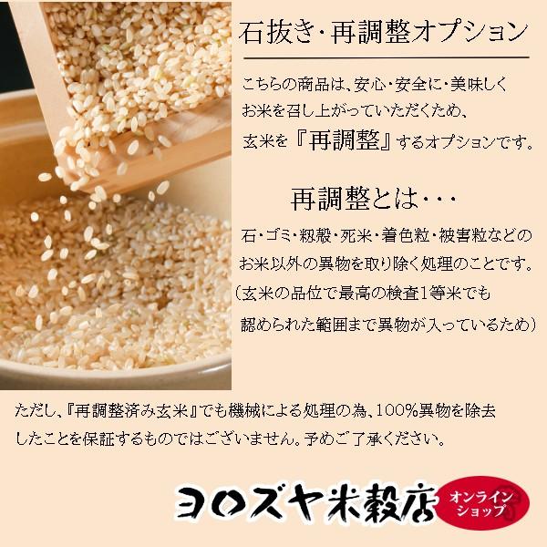 米 20kg 千葉県産コシヒカリ 新米　お米 白米20キロ 精米無料　再調整 玄米 20kg オプション 小分け　令和５年産 こしひかり