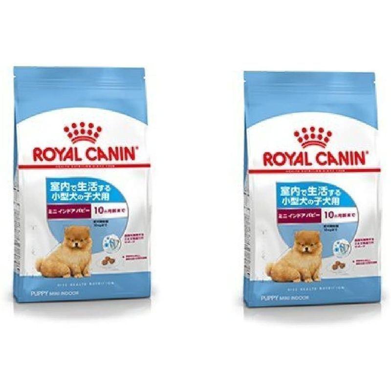 ロイヤルカナン ミニ インドア パピー 子犬用 800g ペットフード