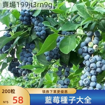 現貨🫐【藍莓種子】（1000粒）🫐2025新種上市  樹莓覆盆子種子 南北部庭院陽台盆栽地栽果樹種子 易種植 高產矮化