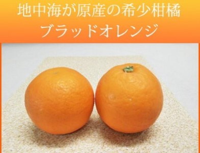 G7070_希少な柑橘！ 紀州 有田産 ブラッドオレンジ 3kg 