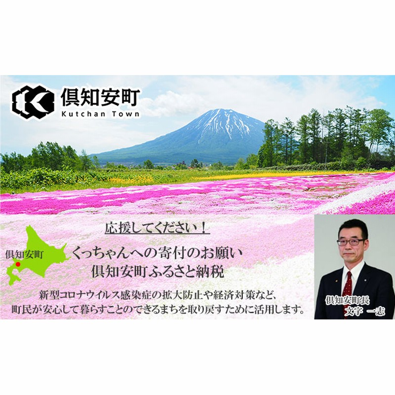 ブライティア ソフト ボックスティッシュ 200組 400枚 60箱 日本製 まとめ買い 日用雑貨 消耗品 生活必需品 備蓄 リサイクル ティッシュ  ペーパー 倶知安町 通販 LINEポイント最大4.0%GET | LINEショッピング