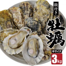 雲仙産瑞穂牡蠣中サイズ3kg(加熱用、殻付き)