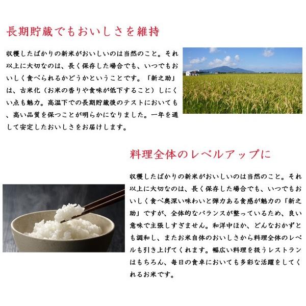 新米 令和5年産 2023年度産 新潟県産 新之助 5K 白米 (精米済) 代引不可 同梱不可