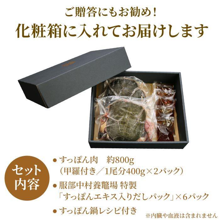 浜名湖の極上すっぽん鍋セット 800g（甲羅付き／400g×2パック） 服部中村養鼈場 お歳暮 スッポン 服部もの 服部中村養べつ場 切り身 すっぽん料理 鍋