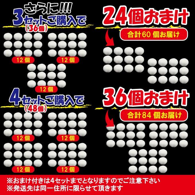 送料無料 まん丸生餃子冷凍12個入り 2セット購入で12個以上プレゼント 中華 点心 ぎょうざ ギョウザ 羽付き