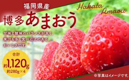 福岡県産 博多 あまおう 約1.12kg（約280g×4パック） いちご ※北海道・沖縄・離島は配送不可